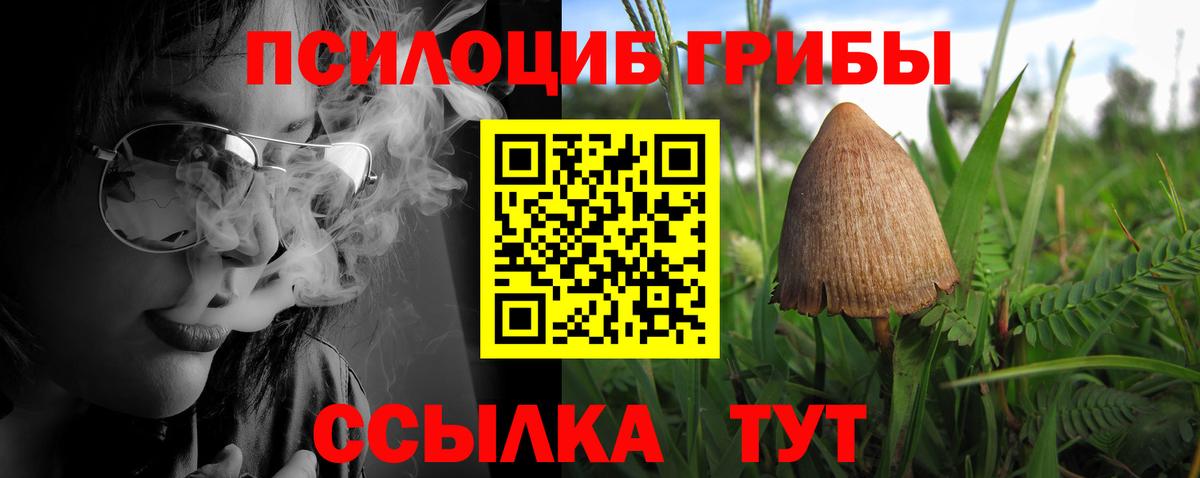 Галлюциногенные грибы MAGIC MUSHROOMS Хабаровск